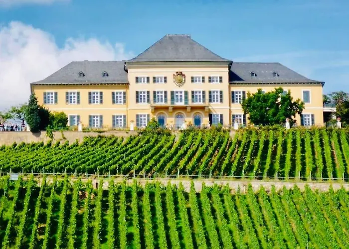 1.0 Relaxen Am Kloster Johannisberg