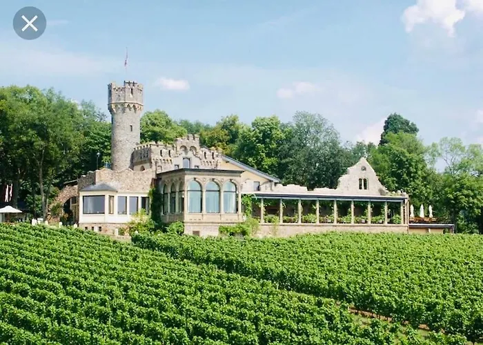1.0 Relaxen Am Kloster Johannisberg