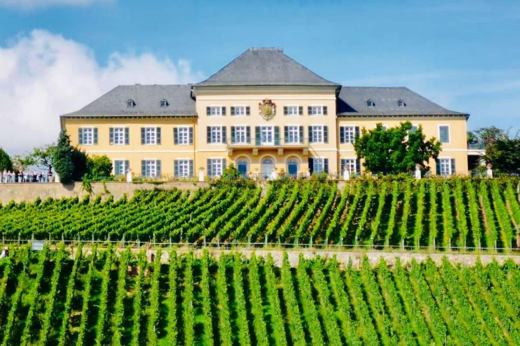 1.0 Relaxen Am Kloster Johannisberg *