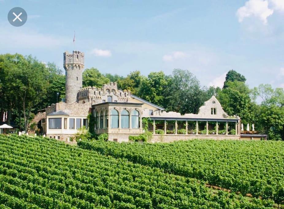 1.0 Relaxen Am Kloster Johannisberg Geisenheim